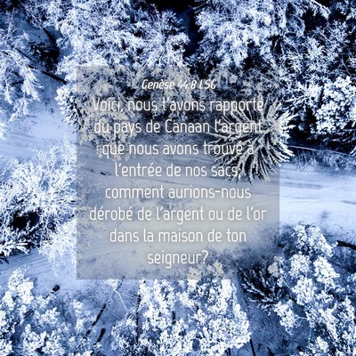 Picture 04 - Genèse 44:8 LSG - Voici, nous t'avons rapporté du pays de Canaan - Bible Verse Picture