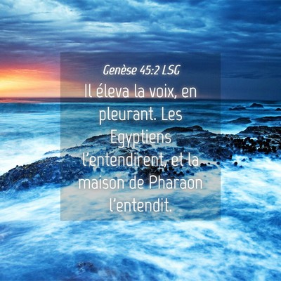 Picture 04 - Genèse 45:2 LSG - Il éleva la voix, en pleurant. Les Egyptiens - Bible Verse Picture
