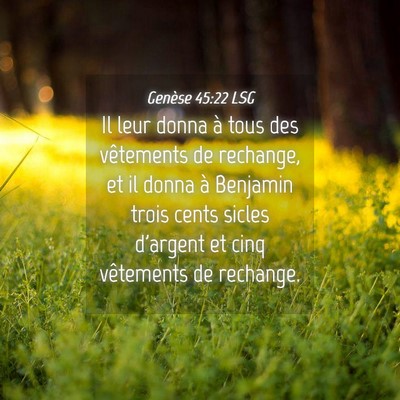Picture 04 - Genèse 45:22 LSG - Il leur donna à tous des vêtements de rechange, - Bible Verse Picture