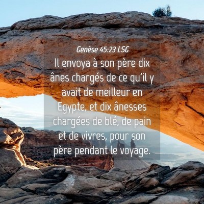 Picture 04 - Genèse 45:23 LSG - Il envoya à son père dix ânes chargés de ce - Bible Verse Picture