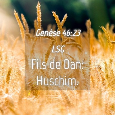 Picture 04 - Genèse 46:23 LSG - Fils de Dan: - Bible Verse Picture