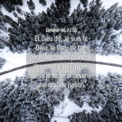 Picture 04 - Genèse 46:3 LSG - Et Dieu dit: Je suis le Dieu, le Dieu de ton - Bible Verse Picture