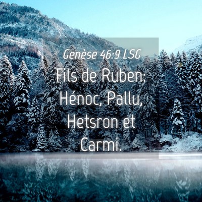 Picture 04 - Genèse 46:9 LSG - Fils de Ruben: Hénoc, Pallu, Hetsron et - Bible Verse Picture