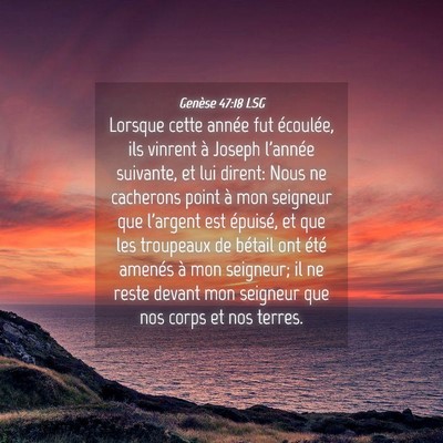 Picture 04 - Genèse 47:18 LSG - Lorsque cette année fut écoulée, ils vinrent - Bible Verse Picture