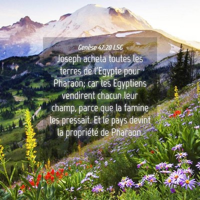 Picture 04 - Genèse 47:20 LSG - Joseph acheta toutes les terres de l'Egypte pour - Bible Verse Picture