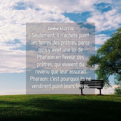 Picture 04 - Genèse 47:22 LSG - Seulement, il n'acheta point les terres des - Bible Verse Picture