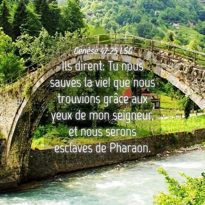 Picture 04 - Genèse 47:25 LSG - Ils dirent: Tu nous sauves la vie! que nous - Bible Verse Picture