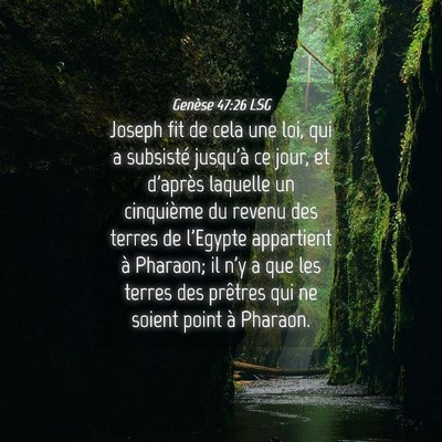 Picture 04 - Genèse 47:26 LSG - Joseph fit de cela une loi, qui a subsisté - Bible Verse Picture