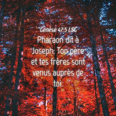 Picture 04 - Genèse 47:5 LSG - Pharaon dit à Joseph: Ton père et tes frères - Bible Verse Picture