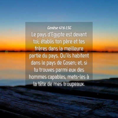 Picture 04 - Genèse 47:6 LSG - Le pays d'Egypte est devant toi; établis ton - Bible Verse Picture
