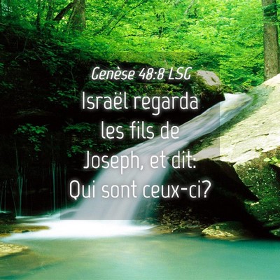 Picture 04 - Genèse 48:8 LSG - Israël regarda les fils de Joseph, et dit: Qui - Bible Verse Picture