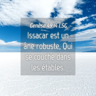 Picture 04 - Genèse 49:14 LSG - Issacar est un âne robuste, Qui se couche dans - Bible Verse Picture