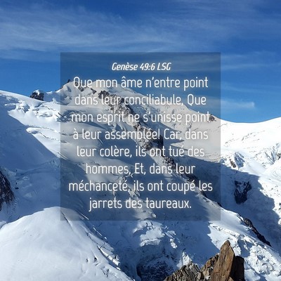 Picture 04 - Genèse 49:6 LSG - Que mon âme n'entre point dans leur - Bible Verse Picture