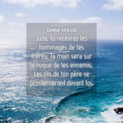 Picture 04 - Genèse 49:8 LSG - Juda, tu recevras les hommages de tes frères; Ta - Bible Verse Picture