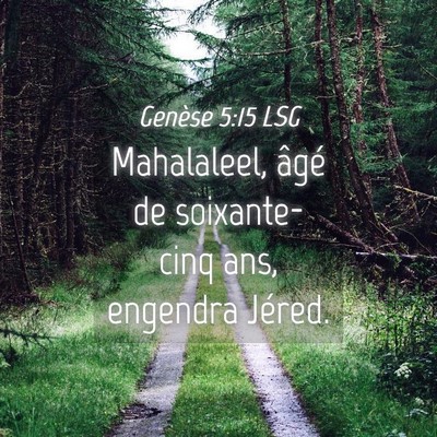 Picture 04 - Genèse 5:15 LSG - Mahalaleel, âgé de soixante-cinq ans, engendra - Bible Verse Picture