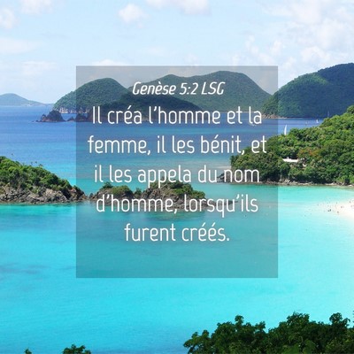 Picture 04 - Genèse 5:2 LSG - Il créa l'homme et la femme, il les bénit, et - Bible Verse Picture