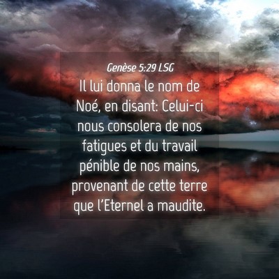 Picture 04 - Genèse 5:29 LSG - Il lui donna le nom de Noé, en disant: Celui-ci - Bible Verse Picture