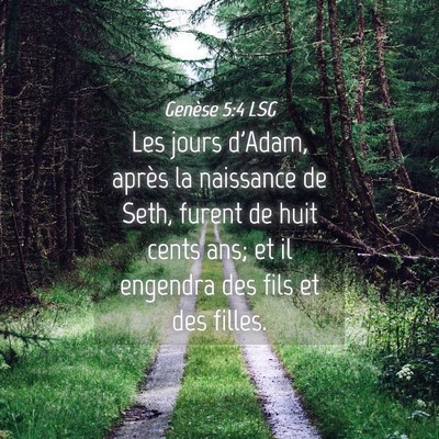 Picture 04 - Genèse 5:4 LSG - Les jours d'Adam, après la naissance de Seth, - Bible Verse Picture