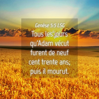 Picture 04 - Genèse 5:5 LSG - Tous les jours qu'Adam vécut furent de neuf cent - Bible Verse Picture