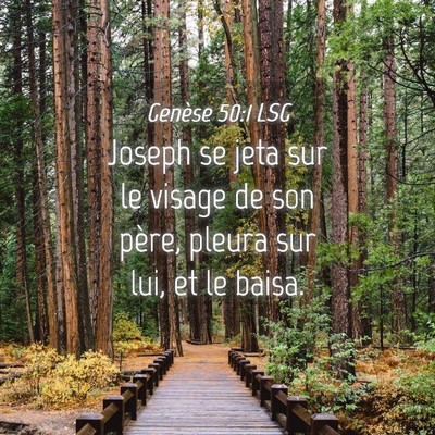 Picture 04 - Genèse 50:1 LSG - Joseph se jeta sur le visage de son père, pleura - Bible Verse Picture