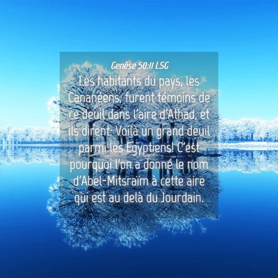 Picture 04 - Genèse 50:11 LSG - Les habitants du pays, les Cananéens, furent - Bible Verse Picture