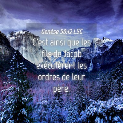 Picture 04 - Genèse 50:12 LSG - C'est ainsi que les fils de Jacob exécutèrent - Bible Verse Picture