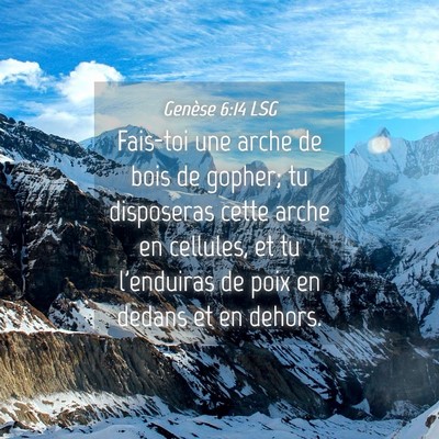 Picture 04 - Genèse 6:14 LSG - Fais-toi une arche de bois de gopher; tu - Bible Verse Picture