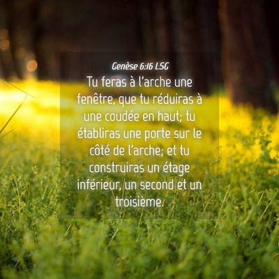 Picture 04 - Genèse 6:16 LSG - Tu feras à l'arche une fenêtre, que tu - Bible Verse Picture