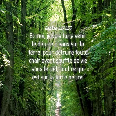 Picture 04 - Genèse 6:17 LSG - Et moi, je vais faire venir le déluge d'eaux sur - Bible Verse Picture