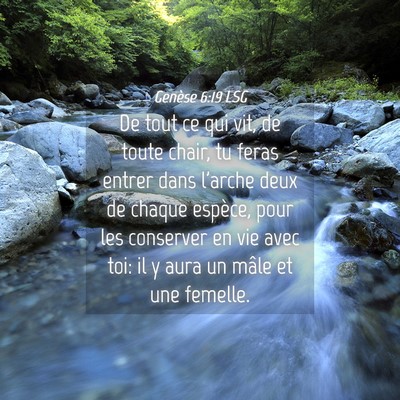 Picture 04 - Genèse 6:19 LSG - De tout ce qui vit, de toute chair, tu feras - Bible Verse Picture