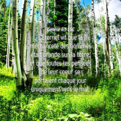 Picture 04 - Genèse 6:5 LSG - L'Eternel vit que la méchanceté des hommes - Bible Verse Picture