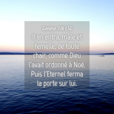 Picture 04 - Genèse 7:16 LSG - Il en entra, mâle et femelle, de toute chair, - Bible Verse Picture