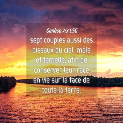 Picture 04 - Genèse 7:3 LSG - sept couples aussi des oiseaux du ciel, mâle et - Bible Verse Picture