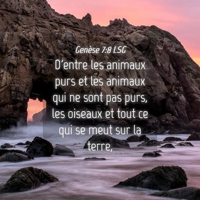 Picture 04 - Genèse 7:8 LSG - D'entre les animaux purs et les animaux qui ne - Bible Verse Picture