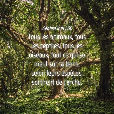 Picture 04 - Genèse 8:19 LSG - Tous les animaux, tous les reptiles, tous les - Bible Verse Picture