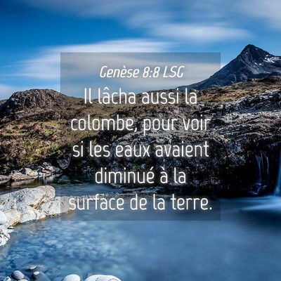 Picture 04 - Genèse 8:8 LSG - Il lâcha aussi la colombe, pour voir si les eaux - Bible Verse Picture