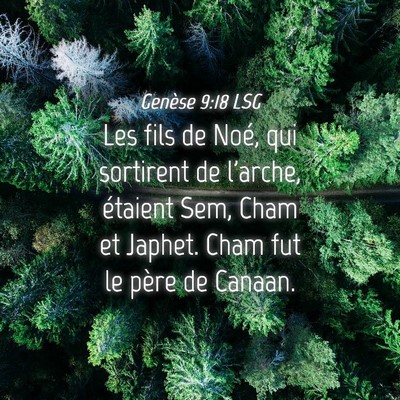 Picture 04 - Genèse 9:18 LSG - Les fils de Noé, qui sortirent de l'arche, - Bible Verse Picture