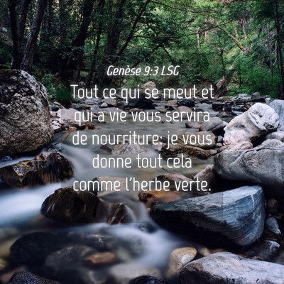 Picture 04 - Genèse 9:3 LSG - Tout ce qui se meut et qui a vie vous servira de - Bible Verse Picture