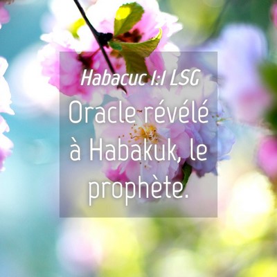 Picture 04 - Habacuc 1:1 LSG - Oracle révélé à Habakuk, le - Bible Verse Picture