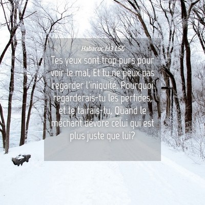 Picture 04 - Habacuc 1:13 LSG - Tes yeux sont trop purs pour voir le mal, Et tu - Bible Verse Picture