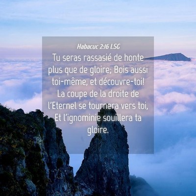 Picture 04 - Habacuc 2:16 LSG - Tu seras rassasié de honte plus que de gloire; - Bible Verse Picture