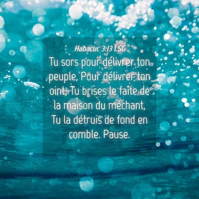 Picture 04 - Habacuc 3:13 LSG - Tu sors pour délivrer ton peuple, Pour délivrer - Bible Verse Picture
