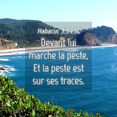 Picture 04 - Habacuc 3:5 LSG - Devant lui marche la peste, Et la peste est sur - Bible Verse Picture