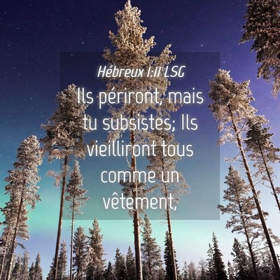 Picture 04 - Hébreux 1:11 LSG - Ils périront, mais tu subsistes; Ils vieilliront - Bible Verse Picture