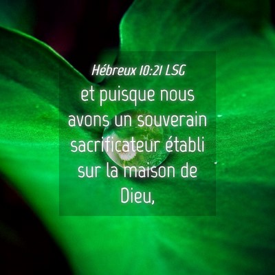 Picture 04 - Hébreux 10:21 LSG - et puisque nous avons un souverain sacrificateur - Bible Verse Picture