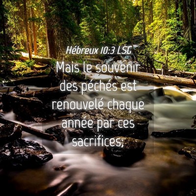 Picture 04 - Hébreux 10:3 LSG - Mais le souvenir des péchés est renouvelé - Bible Verse Picture