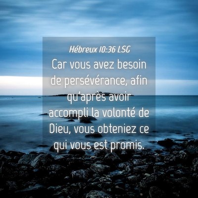 Picture 04 - Hébreux 10:36 LSG - Car vous avez besoin de persévérance, afin - Bible Verse Picture