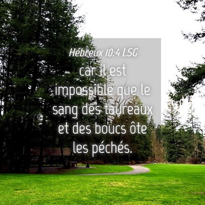 Picture 04 - Hébreux 10:4 LSG - car il est impossible que le sang des taureaux et - Bible Verse Picture