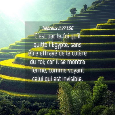 Picture 04 - Hébreux 11:27 LSG - C'est par la foi qu'il quitta l'Egypte, sans - Bible Verse Picture