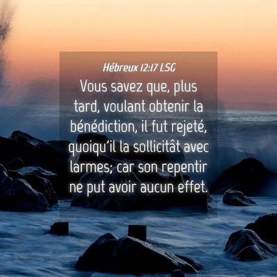 Picture 04 - Hébreux 12:17 LSG - Vous savez que, plus tard, voulant obtenir la - Bible Verse Picture